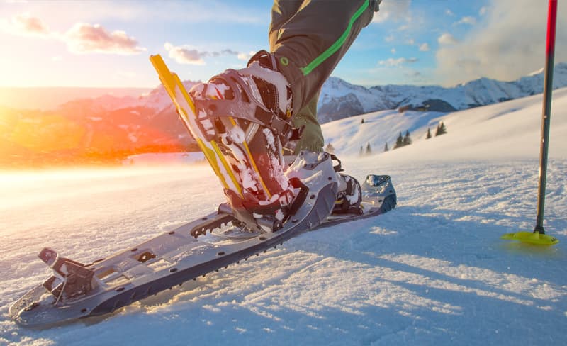 Snowshoe rentals