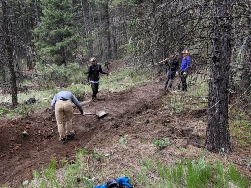 mountain bik community members working on local trails