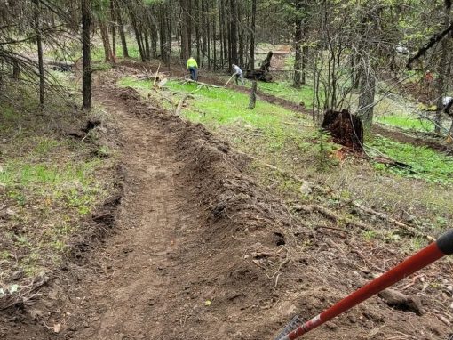 mountain bik community members working on local trails